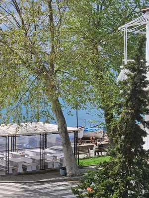 a pavilion with a tree and a boat on the water at Апартамент Елинор in Pomorie