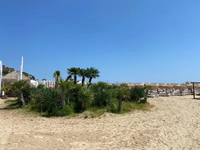 a beach with chairs and palm trees on it at HORIZON 10 'В' Apartment Sveti Vlas in Sveti Vlas