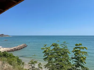a view of a beach with trees and the ocean at Peter Apartmanbulgaria-Imperial Fort Noks in Elenite