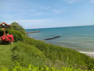 a view of the ocean from a hill with flowers at Royal Palm Studio, Sveti Vlas in Sveti Vlas