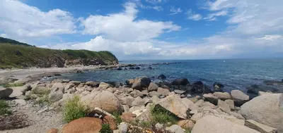 a large group of rocks on a rocky beach at Sunny Day Pomorie in Pomorie