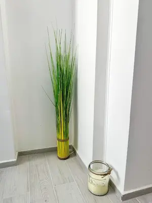 a plant in a yellow vase next to a wall at Flamingo Top Center Apartment in Varna City