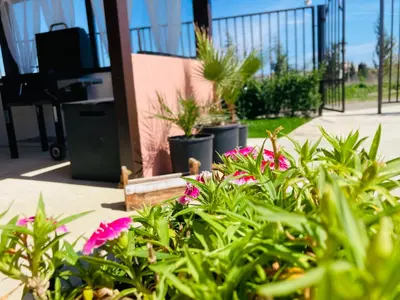 a bush with pink flowers in front of a building at Saint Anastasia lozenets in Lozenets