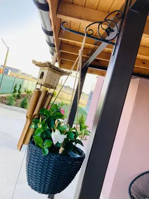 a hanging basket with a plant on a porch at Saint Anastasia lozenets in Lozenets