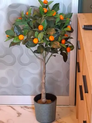 a small orange tree in a pot on the floor at LaRenta Стилни апартаменти с 2 спални и гледка море в Свети Влас in Sveti Vlas