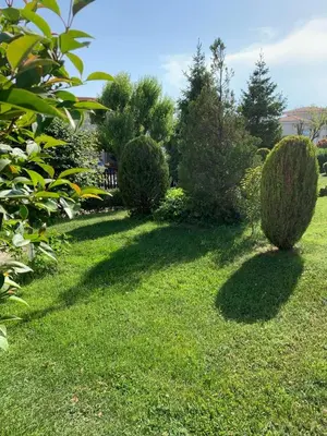 a garden with bushes and trees on the grass at Kambani 1 Apartment in Sveti Vlas