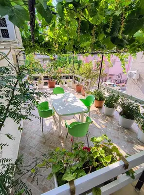 a patio with a table and chairs and plants at Вила Катажина - Villa Katarzyna in Sozopol