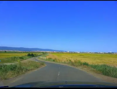 an empty road in the middle of a field at Studio in Sunny day 6 complex in Sunny Beach
