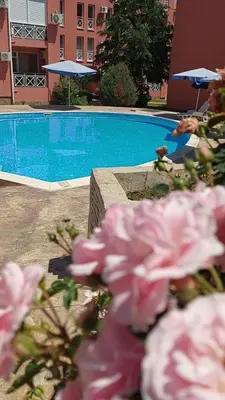 a bunch of pink flowers in front of a swimming pool at Studio in Sunny day 6 complex in Sunny Beach