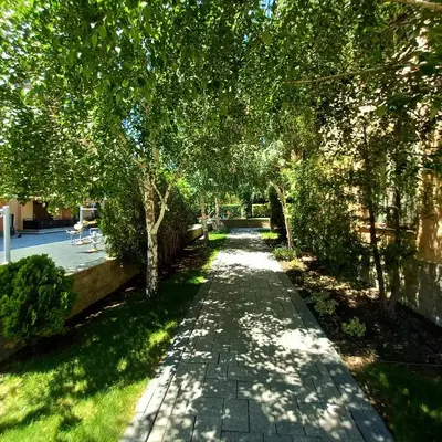 a tree lined walkway with trees and grass at Star Dreams Apartment with Glass Veranda in Sveti Vlas