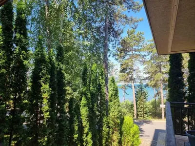 a view of a forest of trees from a porch at 2 Apartment Verano Del Mar Sozopol in Sozopol