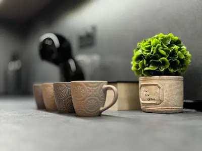 a plant in a pot sitting next to a cup at South Bay Luxury Apartment in Varna City