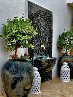 a group of three large vases with plants in them at Casa de oro Lujo in Sozopol