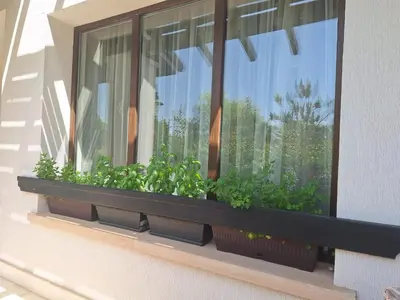 a window with plants on a window sill at Bogdanov in Lozenets