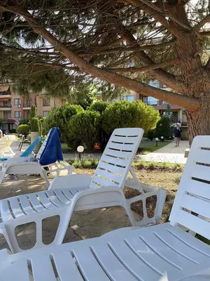 a row of white lawn chairs sitting under a tree at the magic dream, Sveti Vlas in Sveti Vlas