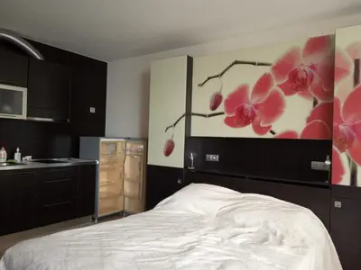 a bedroom with a bed and a painting on the wall at Piękny apartament nad morzem czarnym in Aheloy