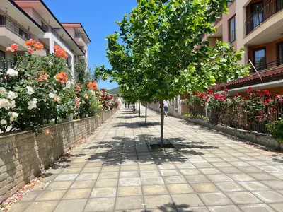 a tree in the middle of a sidewalk with flowers at Panorama Dreams Apartment in Sveti Vlas