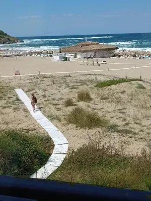 a dog walking on a path near the beach at Oasis beach house , apartment Nevena in Lozenets