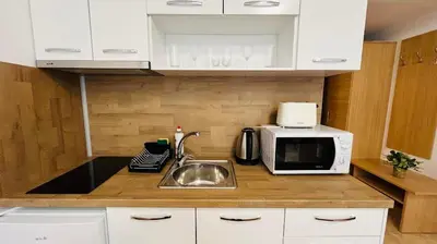 a kitchen with a sink and a microwave at KAYA Atelie 1 Sunny Beach in Sunny Beach