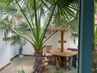 a palm tree sitting next to a wooden table at Вила Оазис Сарай - Царево in Tsarevo