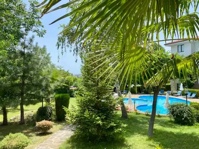 a palm tree in front of a swimming pool at DELFIN Sea view in Sveti Vlas