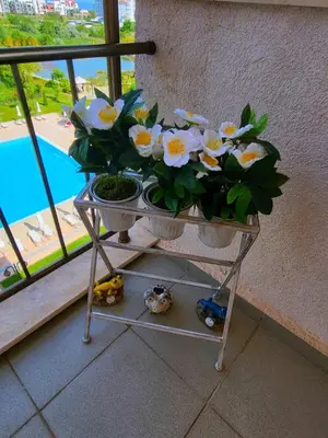a table with flowers on it next to a window at Apartment Sunrise in Obzor