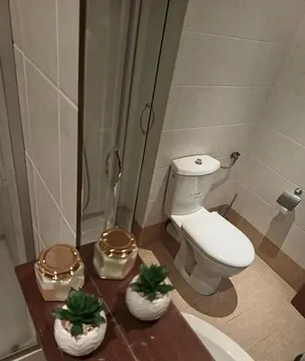 a bathroom with a toilet and two plants on a counter at Апартамент Плаж Червенка in Chernomorets
