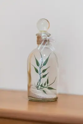 a glass bottle with a plant in it on a shelf at Boris Garden Comfort Suite in Burgas City