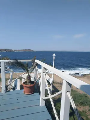 a wooden deck with a plant on the beach at Апартамент 