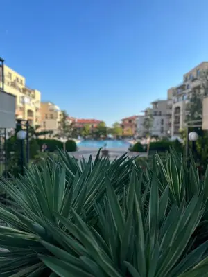 a green plant with buildings in the background at Sveti vlas apartament Sorrento Sole Mare V&D Luxury Style Apartment Свети-влас апартамент студио in Sveti Vlas
