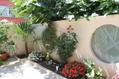 a garden with flowers and plants on a wall at Stela Guest House in Tsarevo