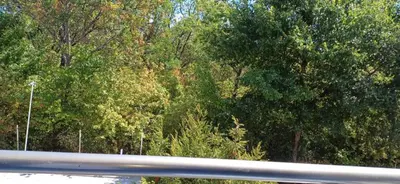 a view of a group of trees from a highway at Blu Bey Pomorie in Pomorie