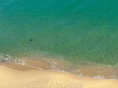 an overhead view of the beach and the ocean at Stunning seaview - 50m to the beach in Byala