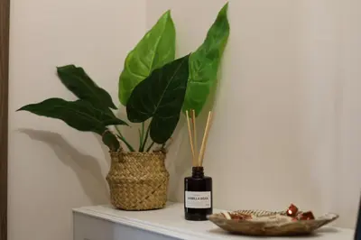 a plant sitting on a shelf with a bottle of wine at Burgas Residence 504 l Indoor Parking l Breakfast & SPA available in Burgas City