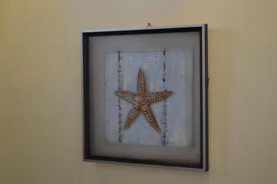 a picture of a starfish in a picture frame at Stella Del Mare Guest House in Kiten