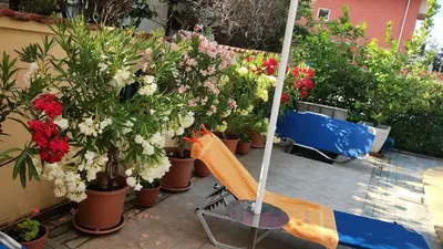 a bunch of potted plants and a bench in a garden at Sunny Flower Family Hotel in Sunny Beach
