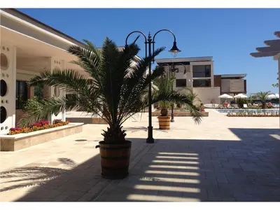 a palm tree in a large pot next to a street light at Apolonia Resort in Sozopol