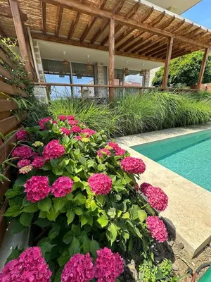 a garden with pink flowers next to a swimming pool at Coral Bay Luxury Villa by Lozenets Luxury Villas in Lozenets