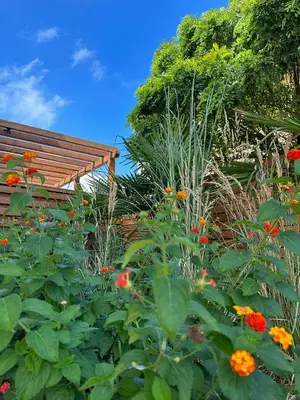 a garden with colorful flowers and a wooden fence at Coral Bay Luxury Villa by Lozenets Luxury Villas in Lozenets