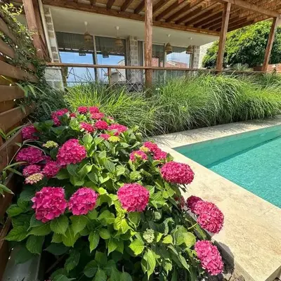 Coral Bay Luxury Villa by Lozenets Luxury Villas