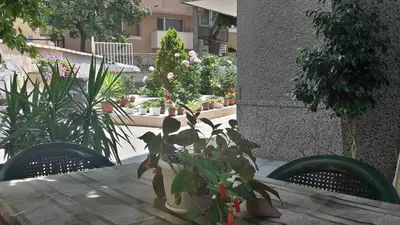 a table with a bunch of potted plants on it at Apartment Geni in Pomorie