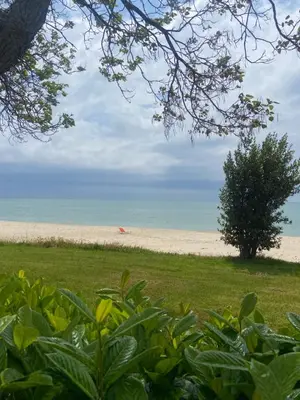 a view of a beach with a tree at Private Villa in Elenite Resort in Atanasovo