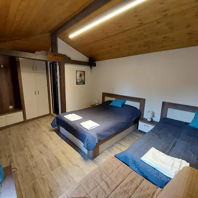 a bedroom with two beds in a room with wooden ceilings at Коларова къща in Avren