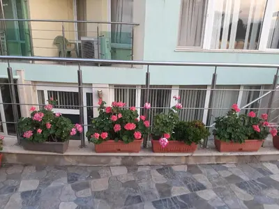a row of flowerpots with pink flowers on a balcony at Family Hotel Coral in Sozopol