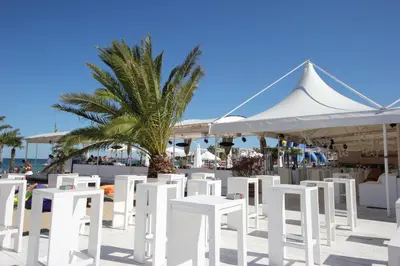 a row of white chairs on a beach with a palm tree at Menada Diamant Apartments in Sunny Beach