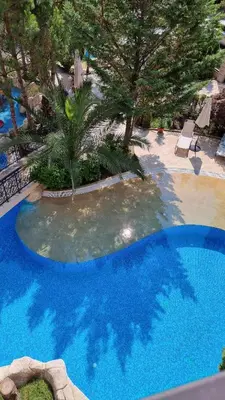a large blue swimming pool with a palm tree in it at A wonderful vacation home in Sunny Beach