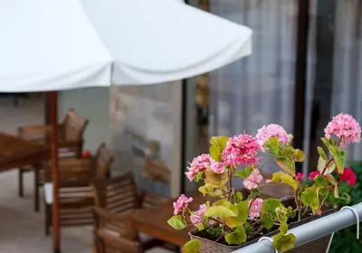 a potted plant with pink flowers and an umbrella at Seaside 1 BR Apartment with balcony, max 4 Guests in Sunny Beach