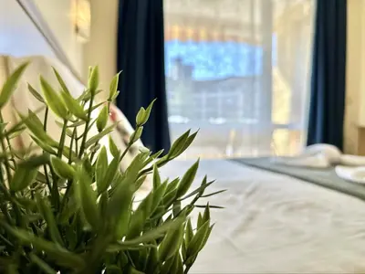 a green plant sitting next to a bed with a window at Paradise Dreams Menada Apartments in Sveti Vlas