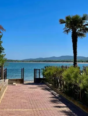 a palm tree and a brick walkway next to the water at Relaxing apartment - 100 meters from the sea in Chernomorets