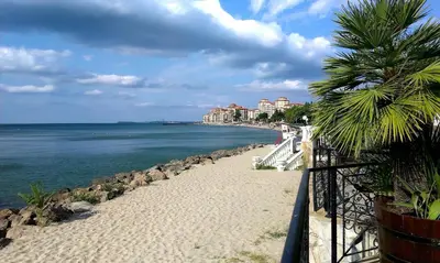 a beach with a palm tree next to the water at Menada Atrium Beach Apartments in Elenite